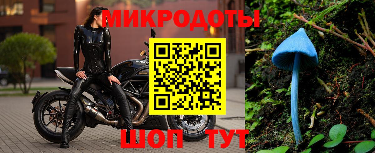 Псилоцибиновые грибы Psilocybe Серпухов