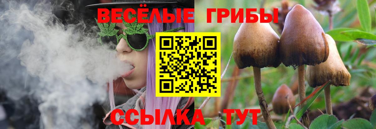 Псилоцибиновые грибы GOLDEN TEACHER  где найти наркотики  Серпухов  Вход с VPN  Псилоцибиновые грибы Cubensis 